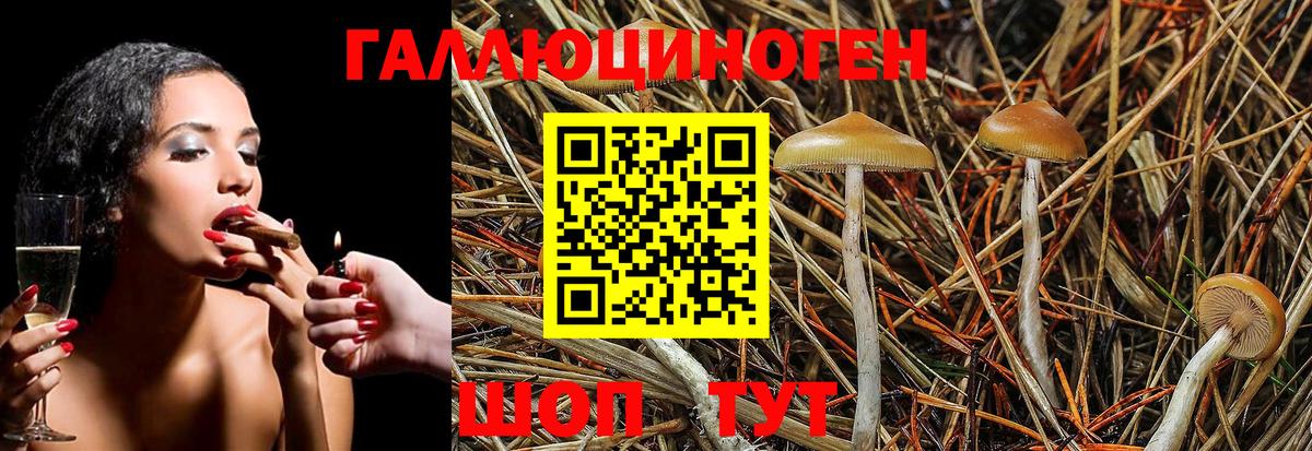 Псилоцибиновые грибы мицелий  Вход с VPN  Галлюциногенные грибы Psilocybine cubensis  Мыски 